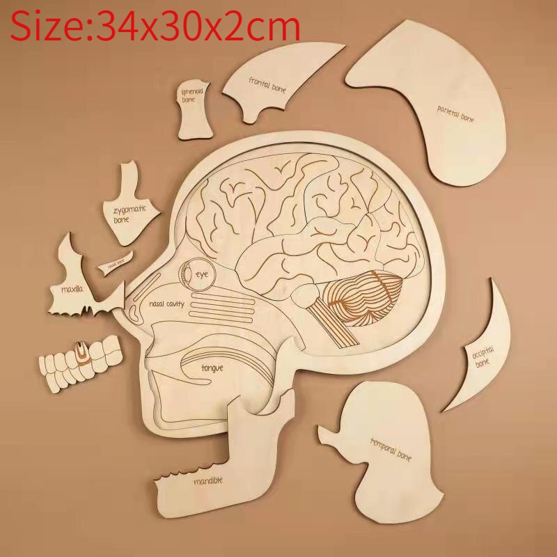 Educational Wooden Puzzle Sets